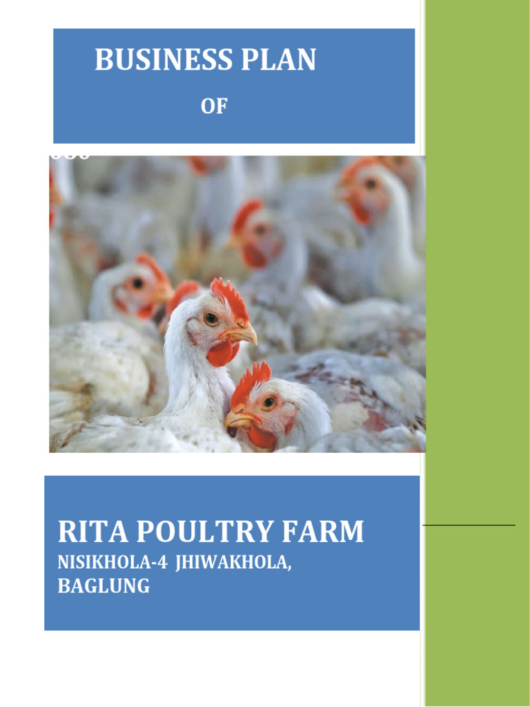 Poultry Farm Business Plan in Nepal | PDF | Net Present Value ...