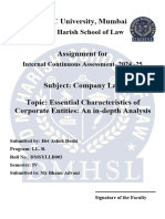 ICA Company Law Project