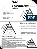 Pyramids: 1.pyramid of Numbers