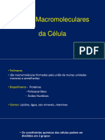 Aula Bases Macromoleculares