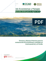 Tecnicas y Buenas Practicas para La Restauracion de Ecosistemas y Paisajes en Centroamerica y El Caribe