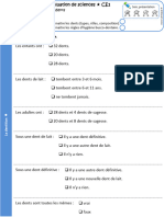 Eval Dents CE1-LB