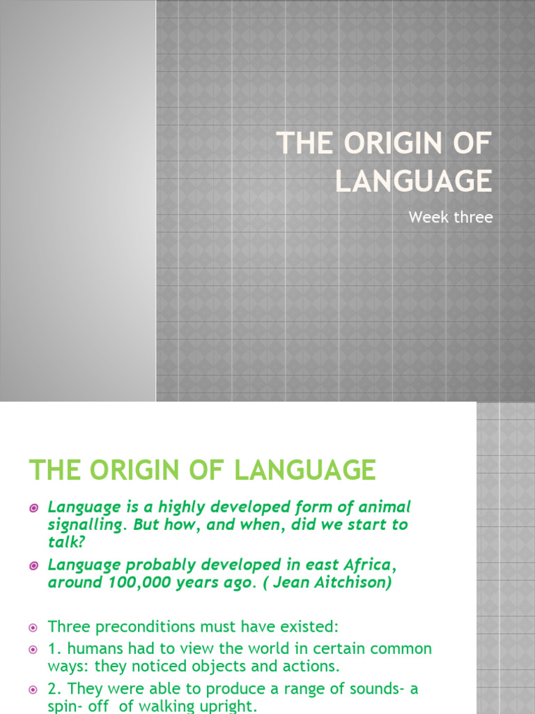 4the Origin of Language | PDF | Origin Of Language | Evolution