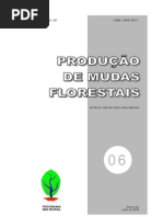 06 Producao de Mudas Florestais