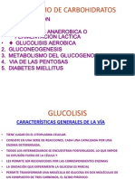 Metabolismo de Carbohidratos Diapositivas