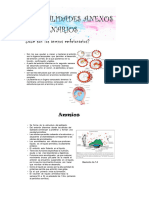 Clase 4 Generalidades Anexos Embrionarios