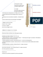 BIOTERÁPICOS - Iridologia