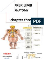 Chapter Tree Upper Limb Chapter