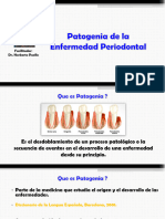 No. 04 - Patogenia de La Enf. Periodontal.