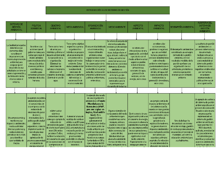 Mapa Conceptual Introduccion A Los Sistemas de Gestión | PDF