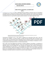 Taller de Biologia de Evolucion de Las Especies P1