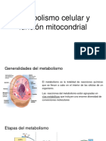 UJMD Metabolismo Cel y Funcion Mitocondrial