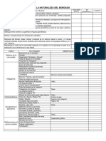Registro de Actividades para Evaluación Sumativa y Formativa de Proyectos de 4to NEM