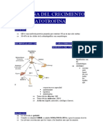 Hormona Del Crecimiento
