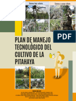 Plan Manejo Tecnologico Cultivo Pitahaya