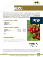 Fichas Tecnica Kelik-K Silicio