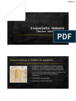 Tema 4 - Esqueleto Humano