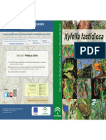 Diptico Xylella Fastidiosa