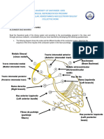 Driving System Guide PDF