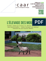 L'élevage Des Moutons