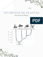 Trabalho Plantas 2° Ano