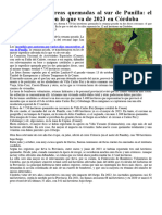 Casi 5 Mil Hectáreas Quemadas Al Sur de Punilla