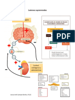 Lesiones Suprarrenales