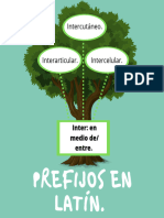 Árbol Prefijos en Latín.