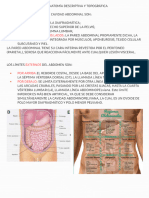 Semiologia abdominal_230614_074309