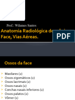 Anatomia Radiológica Do Crânio e Face