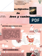Sistema digestivo aves y canino _20240123_141831_0000