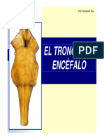 3.2. EL TRONCO DEL ENCÉFALO - PPT (Modo de Compatibilidad)