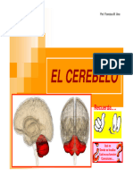 3.3. EL CEREBELO - PPT (Modo de Compatibilidad)