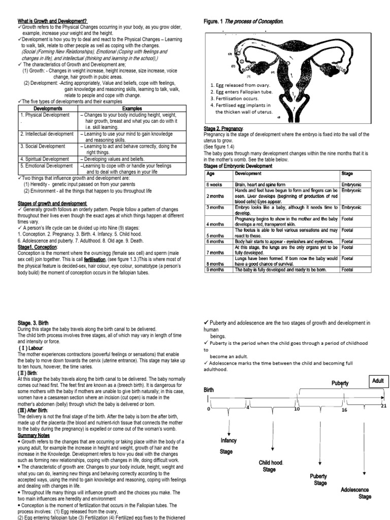 what-is-growth-and-development-pdf-fertilisation-uterus