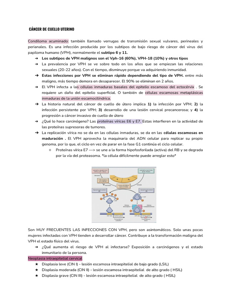Cáncer de Cuello Uterino y VPH | PDF | Cáncer | El embarazo