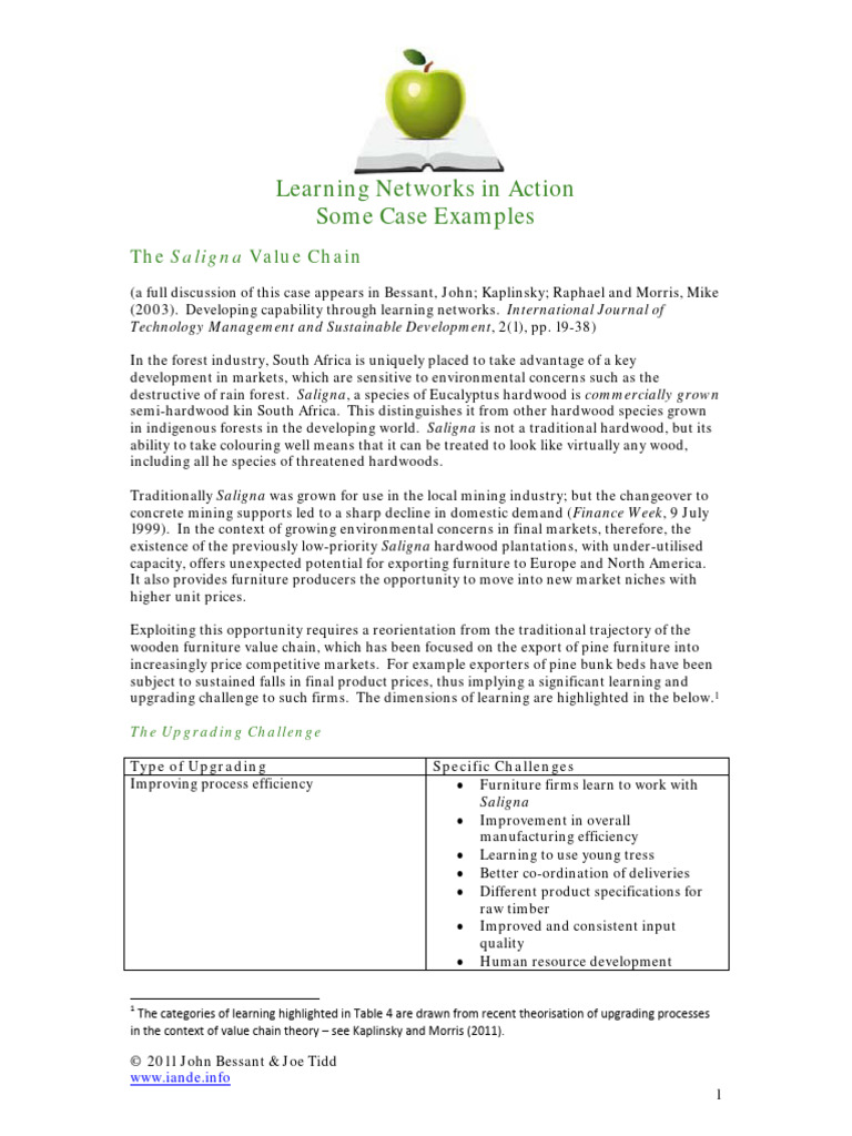 Saligna Value Chain: Learning Networks | PDF | Supply Chain | Value Chain