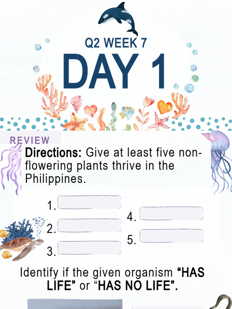 G5Q2 Week 7 Science | PDF | Estuary | Ecosystem