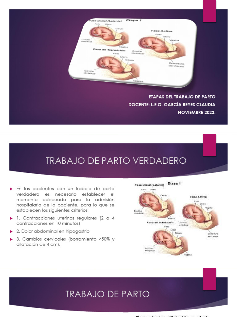 Etapas del Trabajo de Parto Explicadas | PDF | Parto | Anatomía