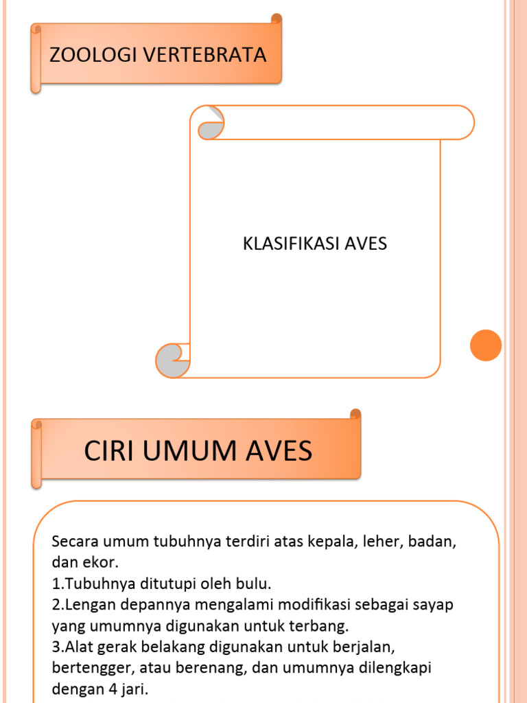 Klasifikasi Aves Pdf