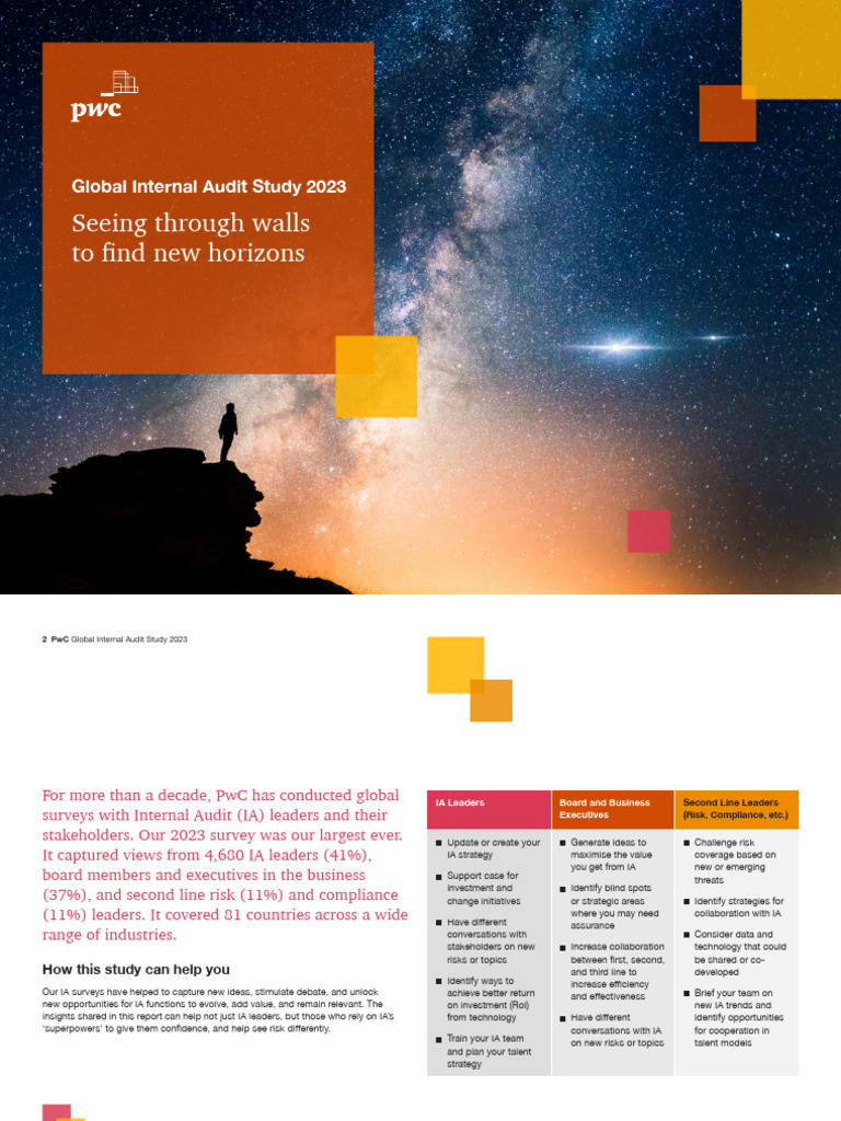 Global Internal Audit Study | PDF | Internal Audit | Risk