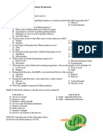 Quiz #4 - Photosynthesis and Cellular Respiration