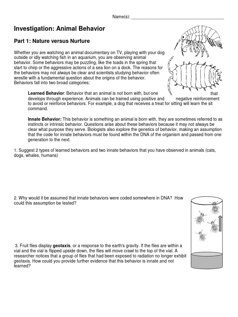 Investigating Animal Behavior: Taxis and Innate Actions | PDF ...