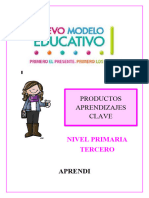 3ero Productos Curso Aprendizajes Clave