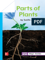 Parts of Plant