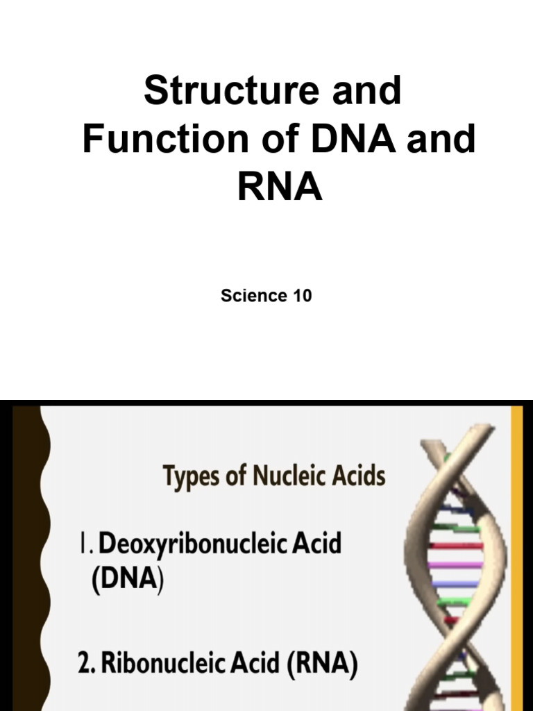 Protein Synthesis Overview | PDF | Dna | Rna