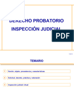 Inspeccion Judicial