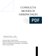 Consulta Modelos Gerenciales