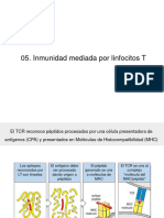 05 Inmunidad Mediada Por Linfocitos T