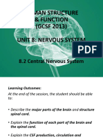 8.2 Central Nervous System 2