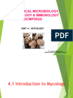 4.1 Introduction To Mycology